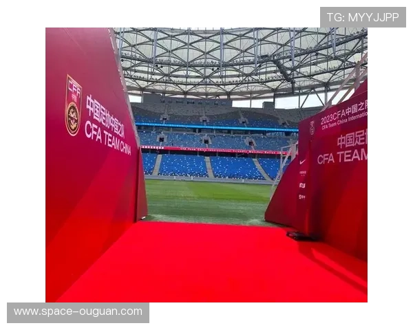 都灵队主场氛围火热球迷助威成为球队奋勇拼搏的重要动力